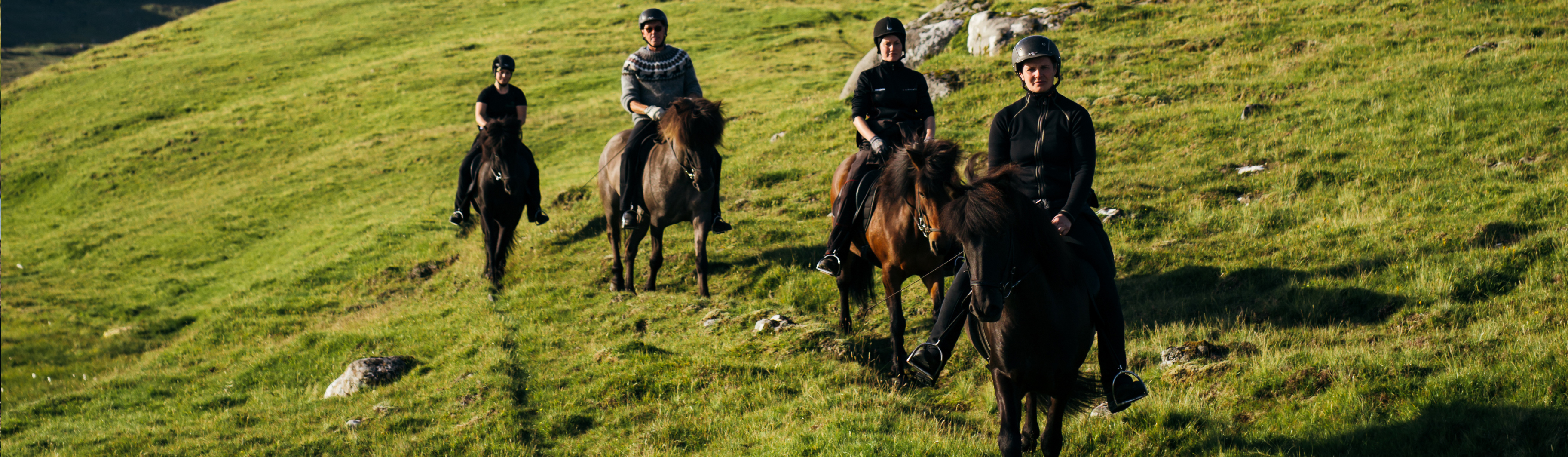 horseback riding tours