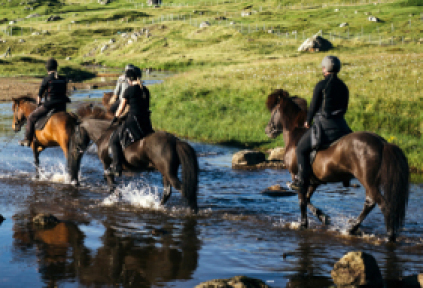 ridingtour, ridingtours, Berg Hestar, Torshavn, Faroe Islands, horsetrek, 2½ hourridingtour